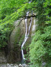 Image of Sochi National Park